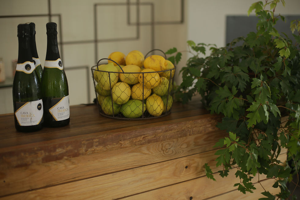 בר האלכוהול של עדיה