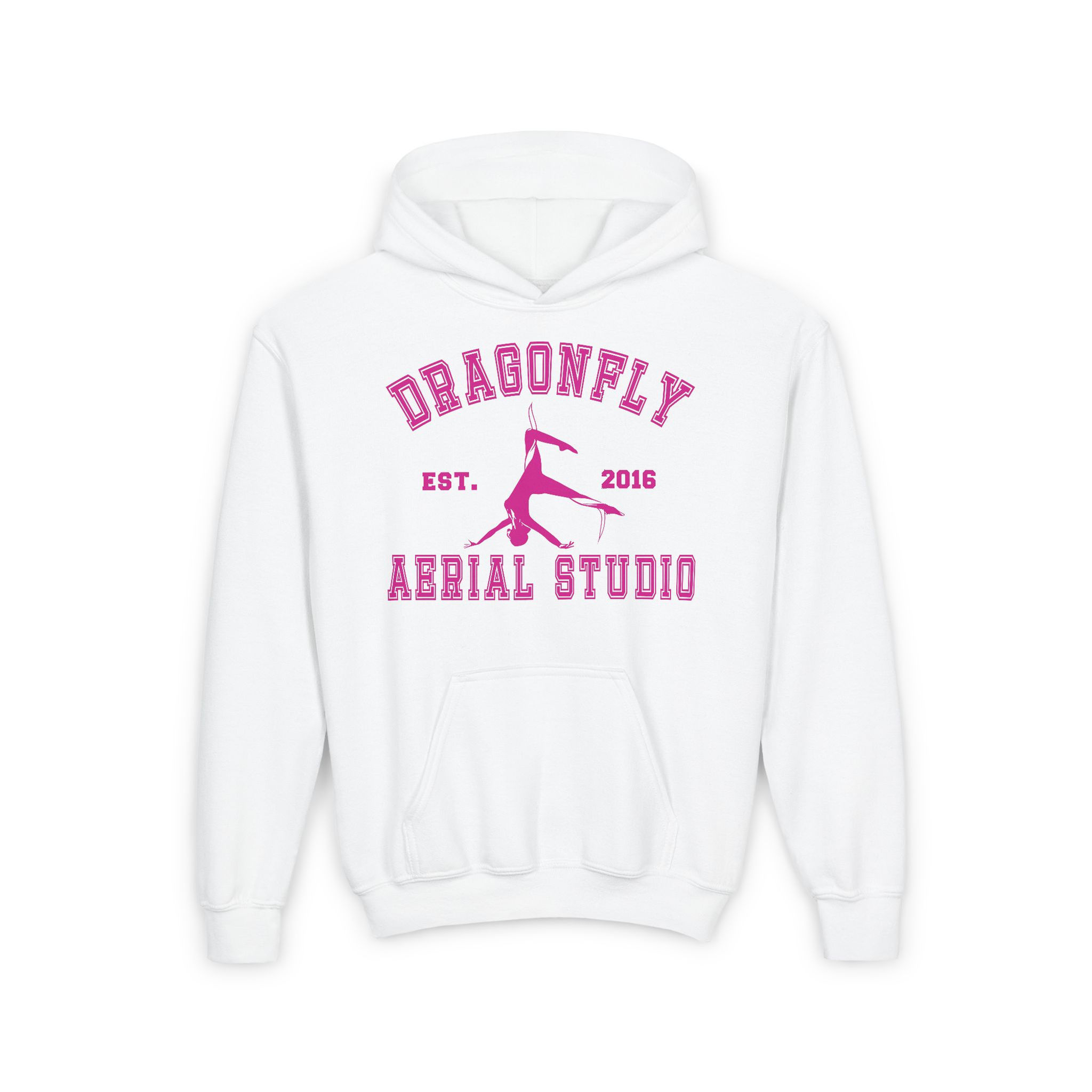 Dragonfly Design Youth Aerial Studio Hooded Sweatshirt