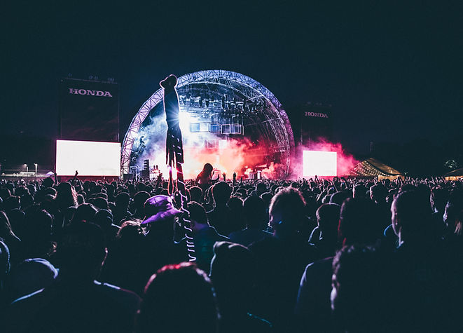 Concert Crowd