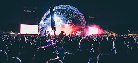 Concert Crowd