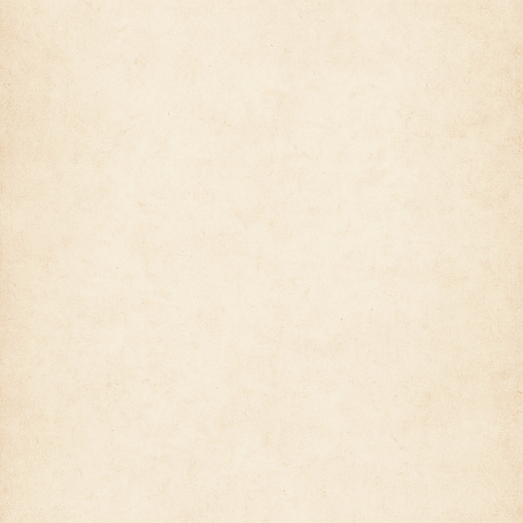 Website_Textured_Backdrop_edited_edited_edited_edited_edited.png