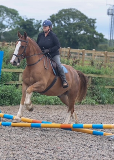 Julie Gordon Testimonial for Sarah Holman Equestrian Services.jpeg