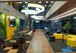 Layout Corporativo - SC