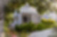 1R1A0592_edited.jpg