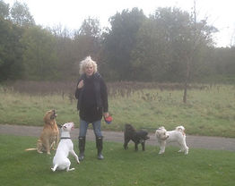 Dog Walker in Loughton, Pet Visiting & Dog Boarding service. Dog Walker in Loughton, Essex and covers surrounding areas including Chigwell, Chingford, Buckhurst Hill, Woodford, Debden.