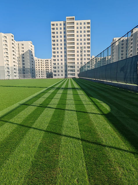 WhatsApp Image 2026-02-08 at 21.38.01.jpeg