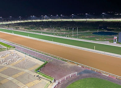 153ACEFC-9AF9-4389-854F-F7322F85F0DD.jpe