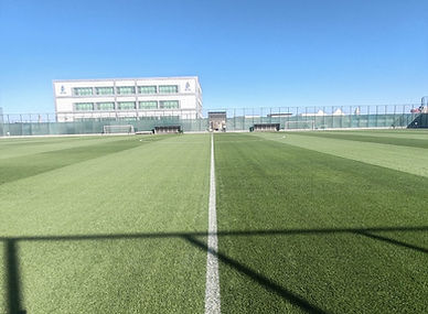 WhatsApp Image 2025-11-03 at 17.23.51 (1).jpeg