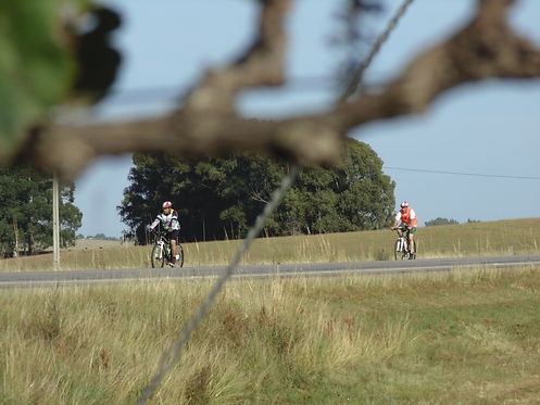 BRM 300 km Internacional Clube Audax Bagé | Série 2015