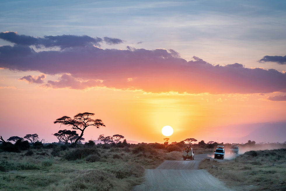 Safari vehicles driving through the Serengeti at sunset in Tanzania, creating dramatic dust trails