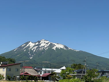 IMG_2795.jpeg