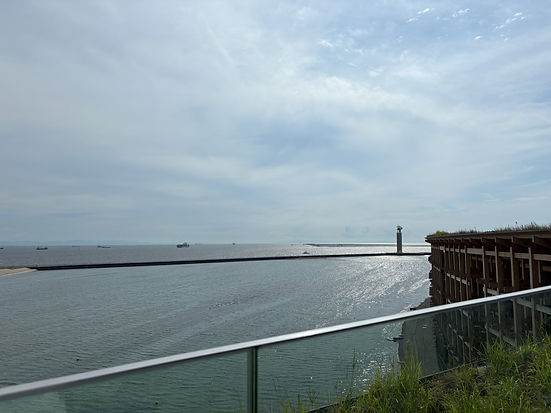 IMG_1769.jpeg