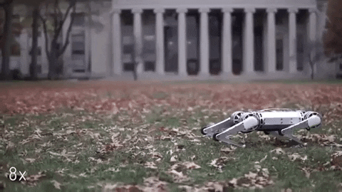 giphy (1).gif