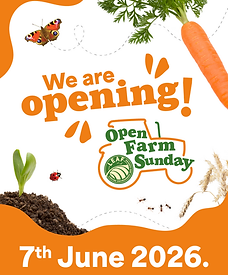5 - We are opening.png