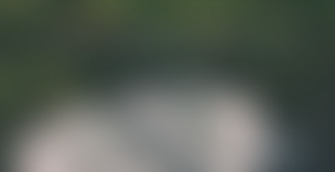 Reading the bible in a Year Day 10