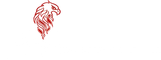 2 LOGO UFFICIALE tutto bianco.png