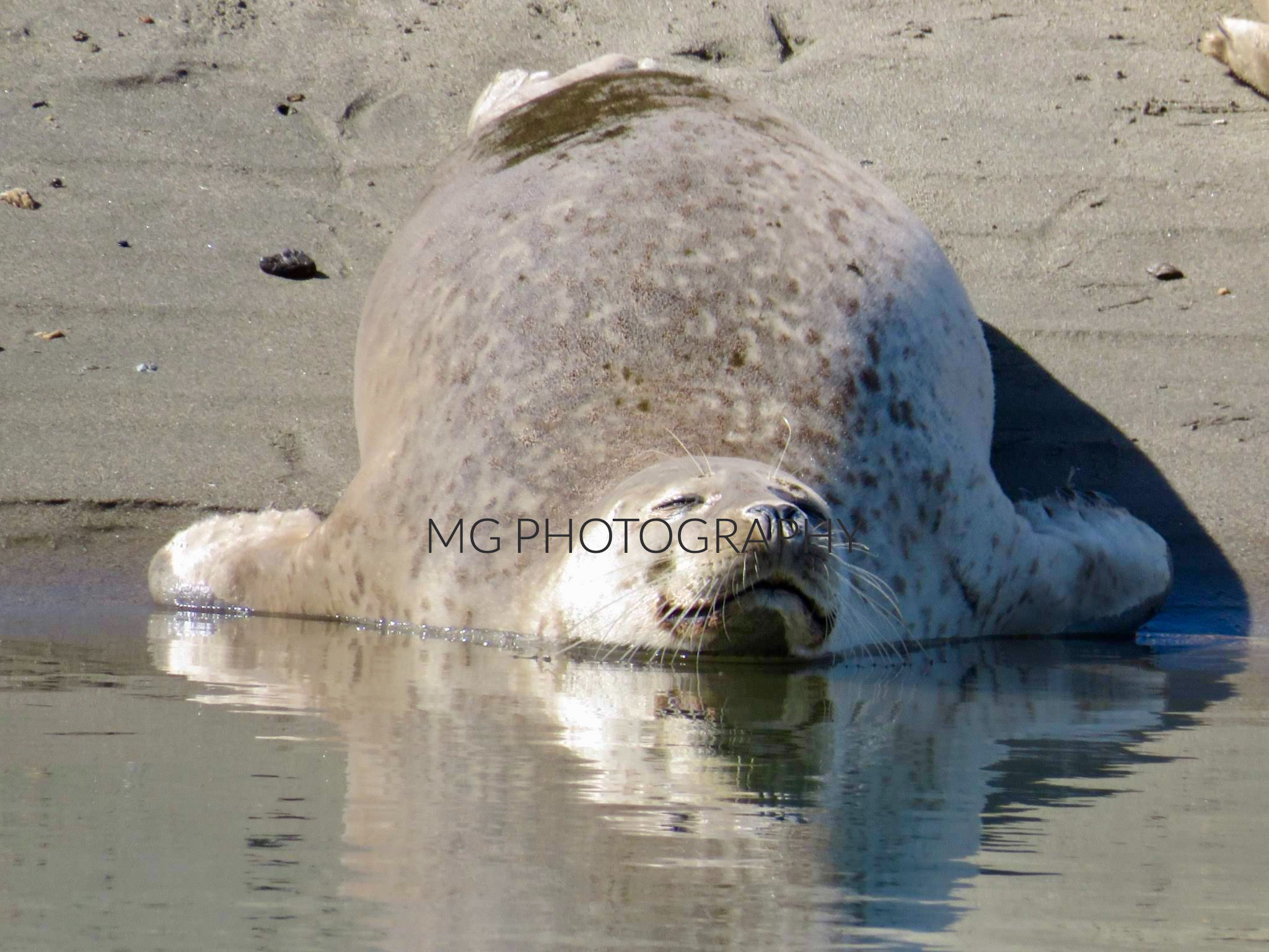 Bring home the calm, comfort, and charm of coastal life