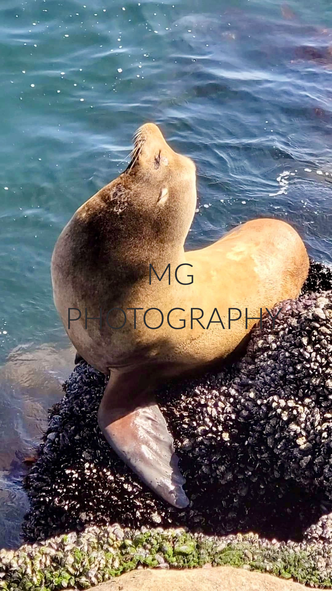 Unbothered. Unhurried. Under the sun