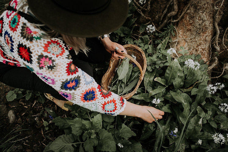 The Rewilding, Lancaster, michelle Parry, Foraging.jpeg