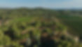 image00003.jpeg