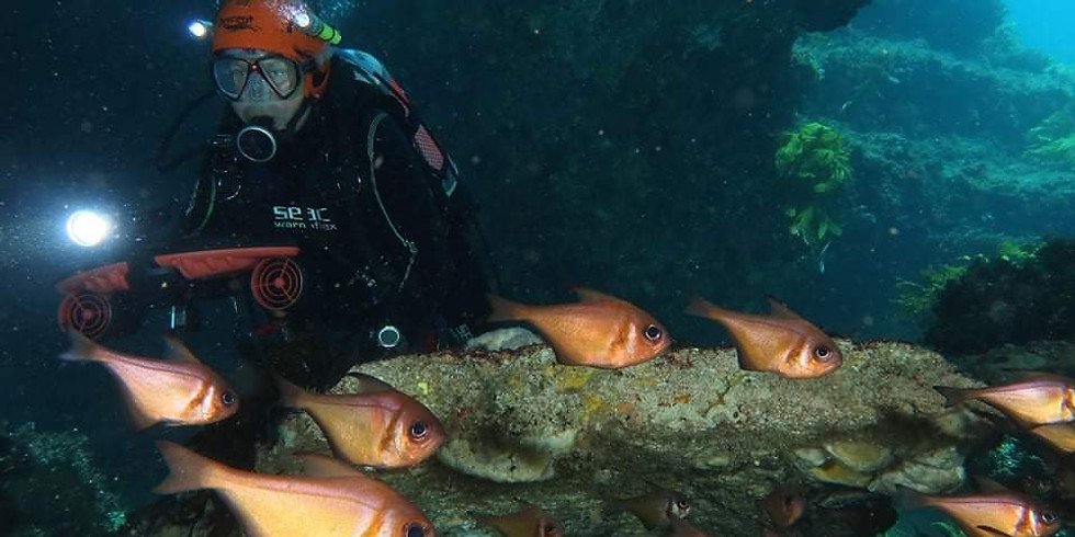 Skipper's Choice (Double Dive) Fully Booked