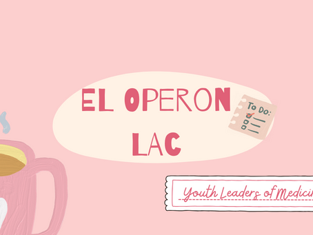 El Operón Lac