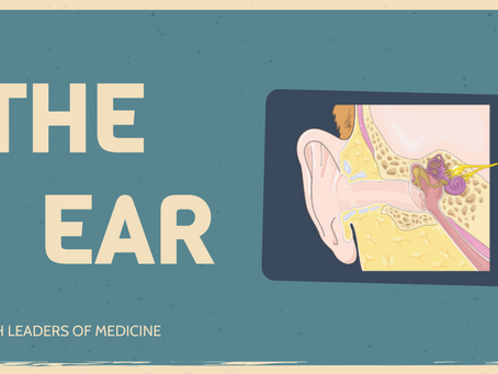 The Ear