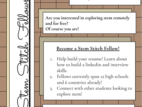 The STEM Stitch Fellowship!