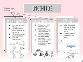 Epigenetics Fast Facts!