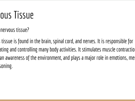 Neurons!