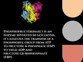 Phosphofructokinase