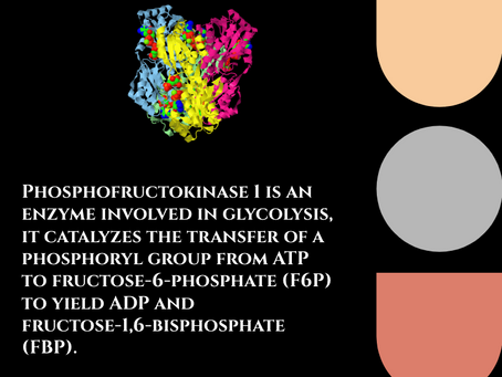 Phosphofructokinase