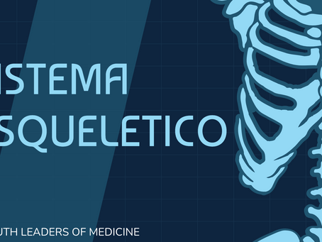 Sistema Esqueletico por Cata