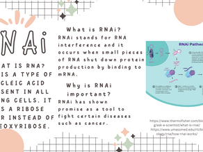 RNAi Fast Facts!
