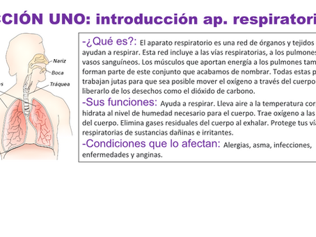 Respiratorio