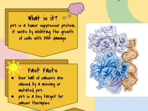 p53 Fast Facts