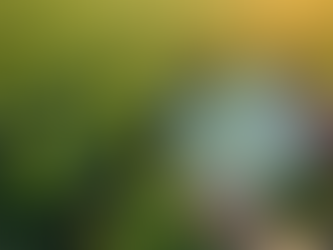 Harnessing GIS Technology to Revolutionize Modern Agriculture