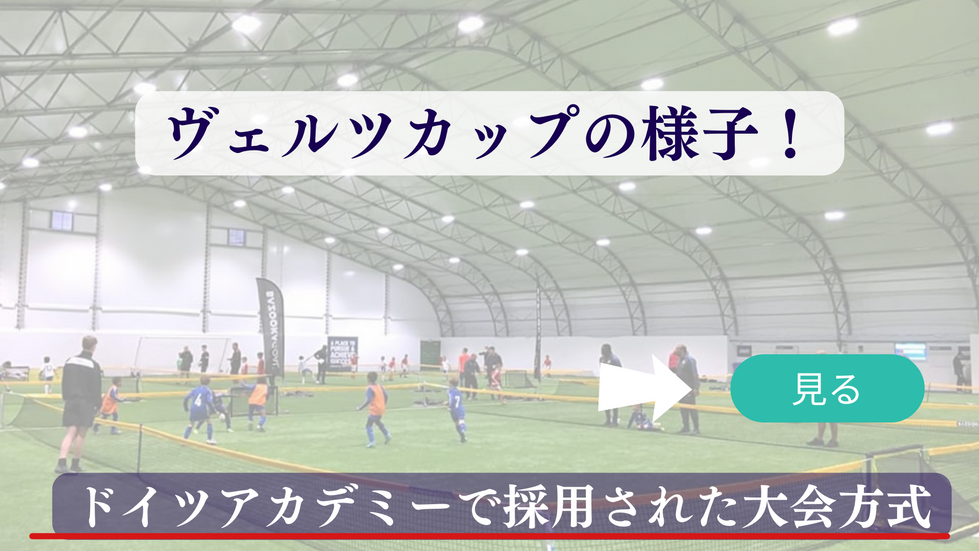 ヴェルツサッカーカップ