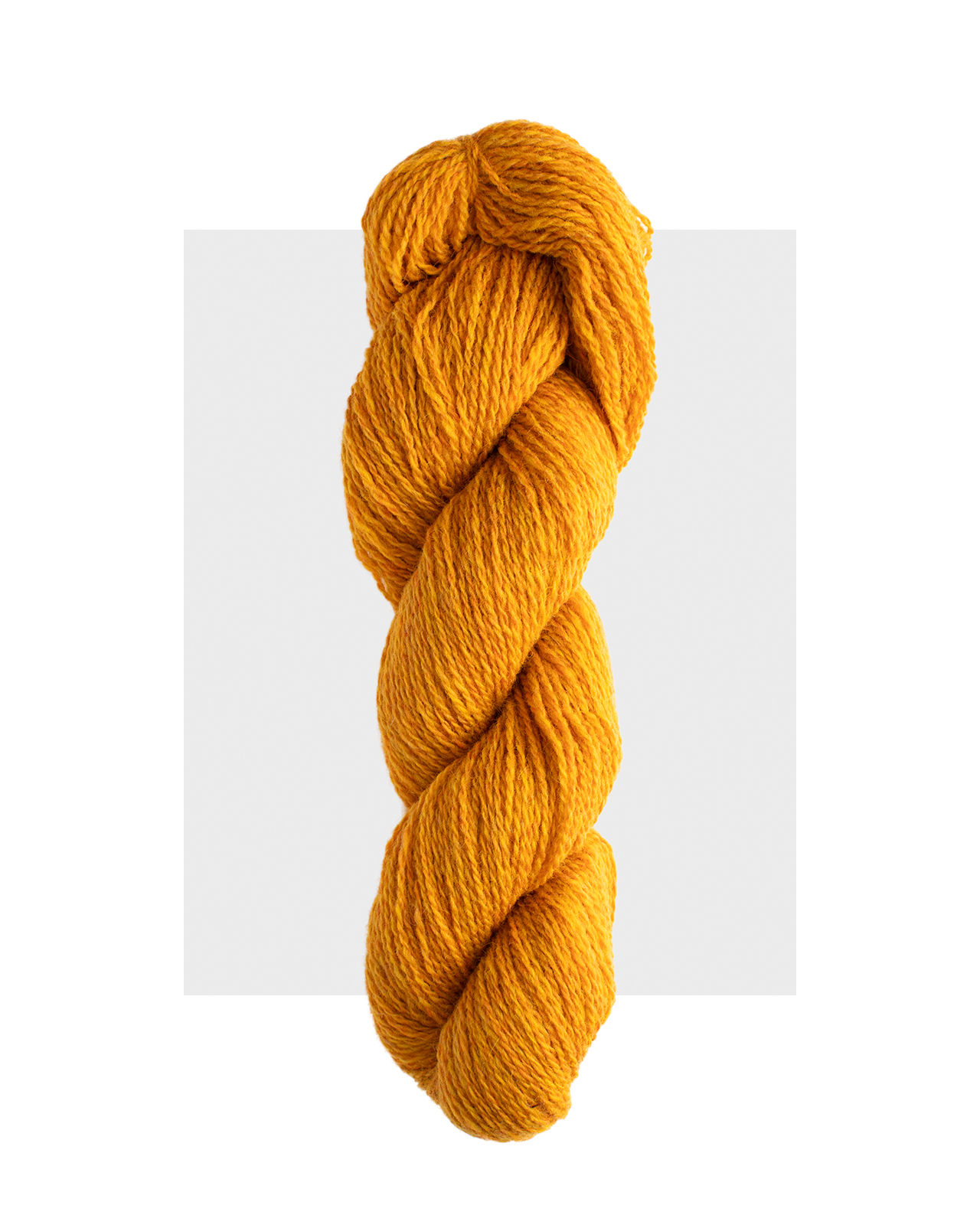 Gold Shetland Fingering