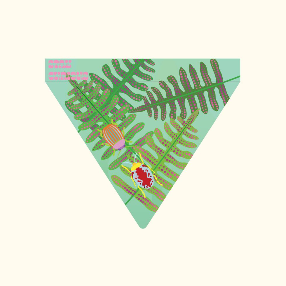 houseofzoomies-03