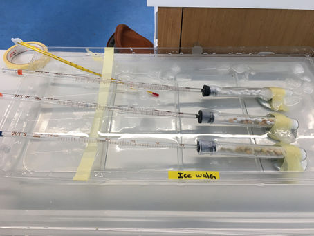 When School Goes Virtual & the Lab is Closed...tips for Science Teachers