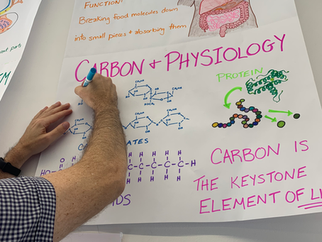 Using Visual Checklists in the Science Classroom (NGSS & IBDP Style)