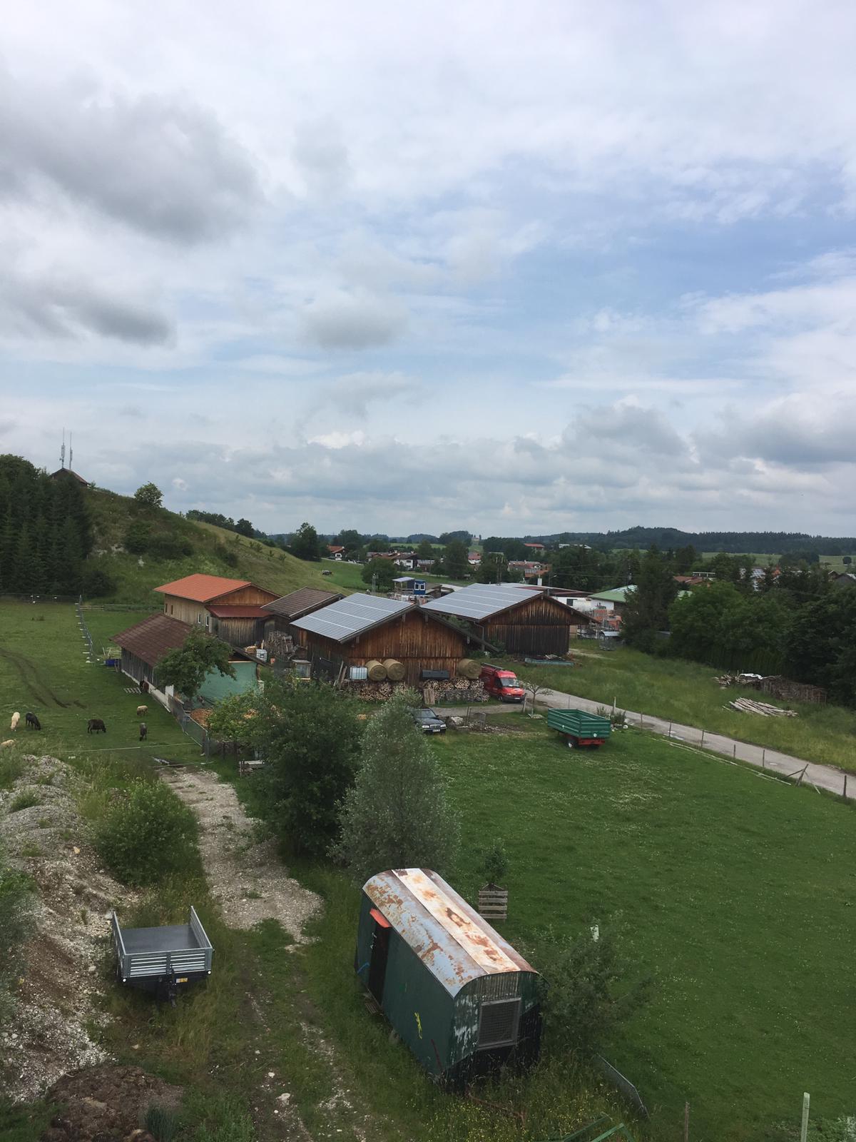 Wuidsauparty_2019 (3)