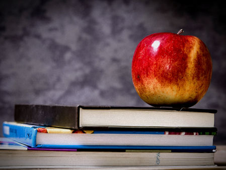 UNA PLATAFORMA POLÍTICA PARA LA EDUCACIÓN