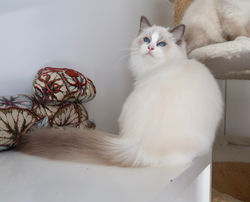 -4237683344705974504_IMG_2116