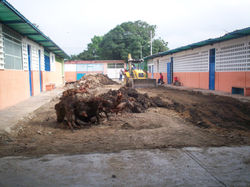 2006