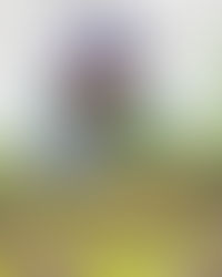 Wrapping Up the School Year with Preschool Learning Fun