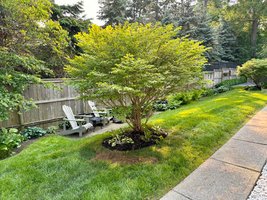 Mayfair Apartments 2023 (6).jpg