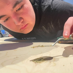 Artist, Aiden Lee spreading wood filler on ply board.