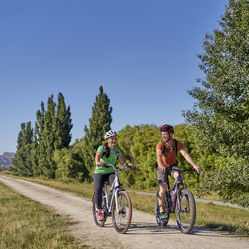 When good intentions paved the road to gridlock: New Zealand’s cycleway saga